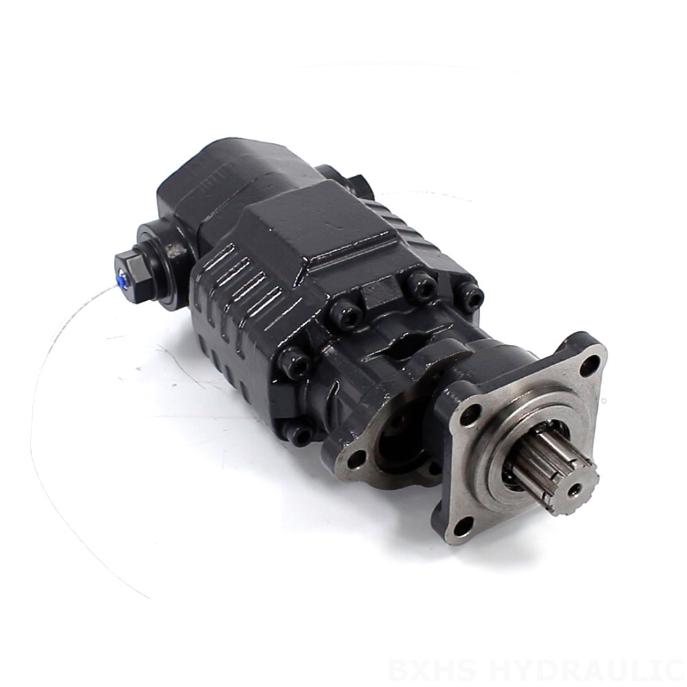 BF110A-ZF1 110 cc/rev 20 MPa (2900 psi) 液压齿轮泵 image