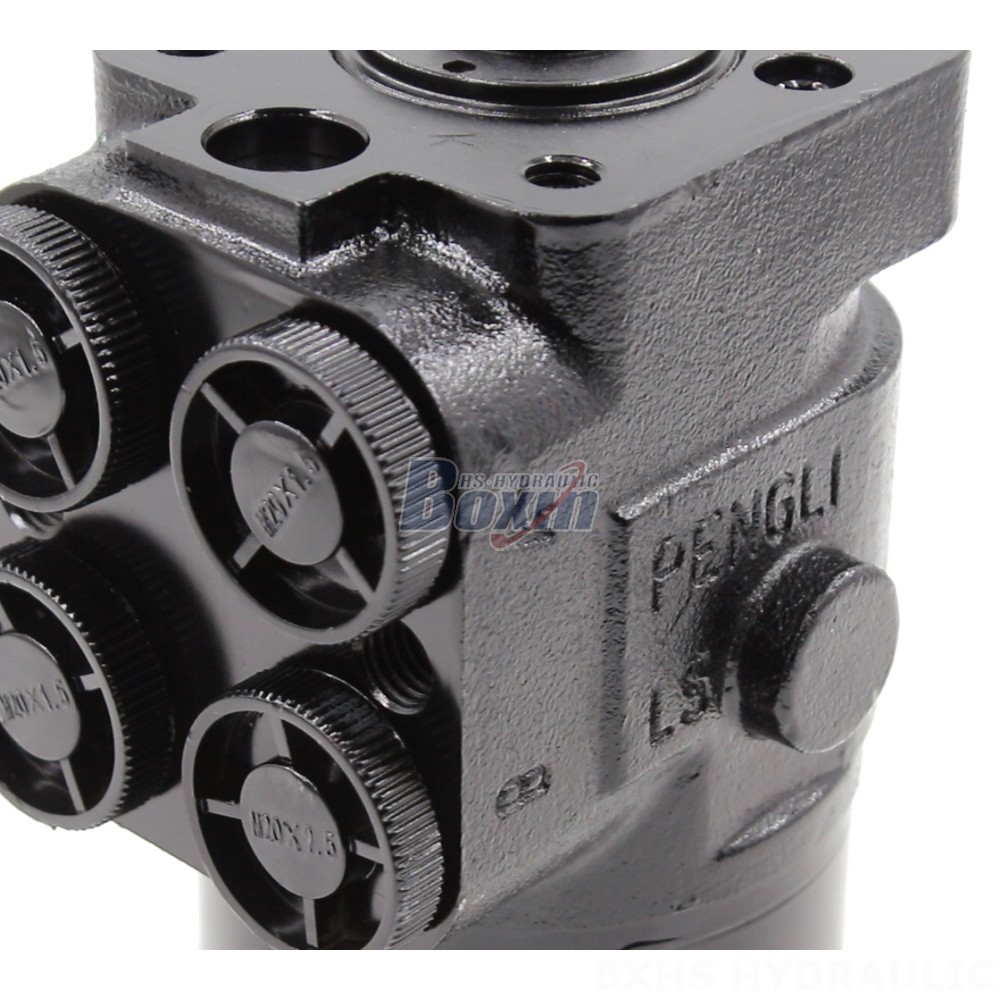 101-1-160 160ml/r Steering Unit - Factory Price & Direct Sales detail image