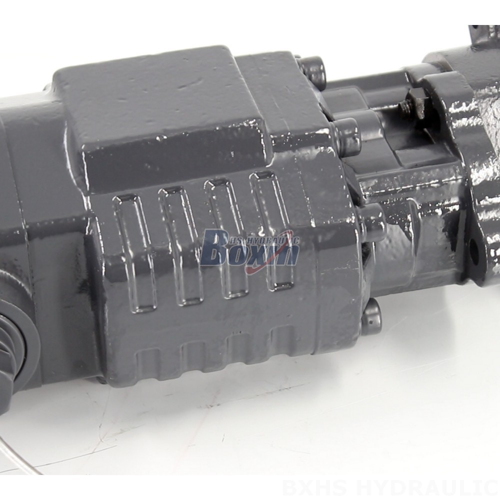 BF110A-ZF1 Hydraulic Gear Pump 20 MPa (2900 psi) for Diverse Needs detail image