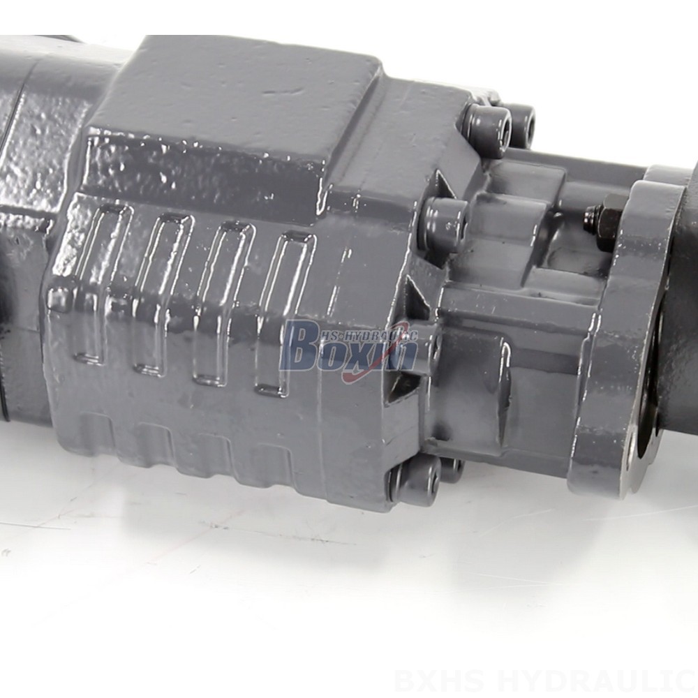 BF110A-ZF1 Hydraulic Gear Pump - Manufacturer Direct Global Supply detail image