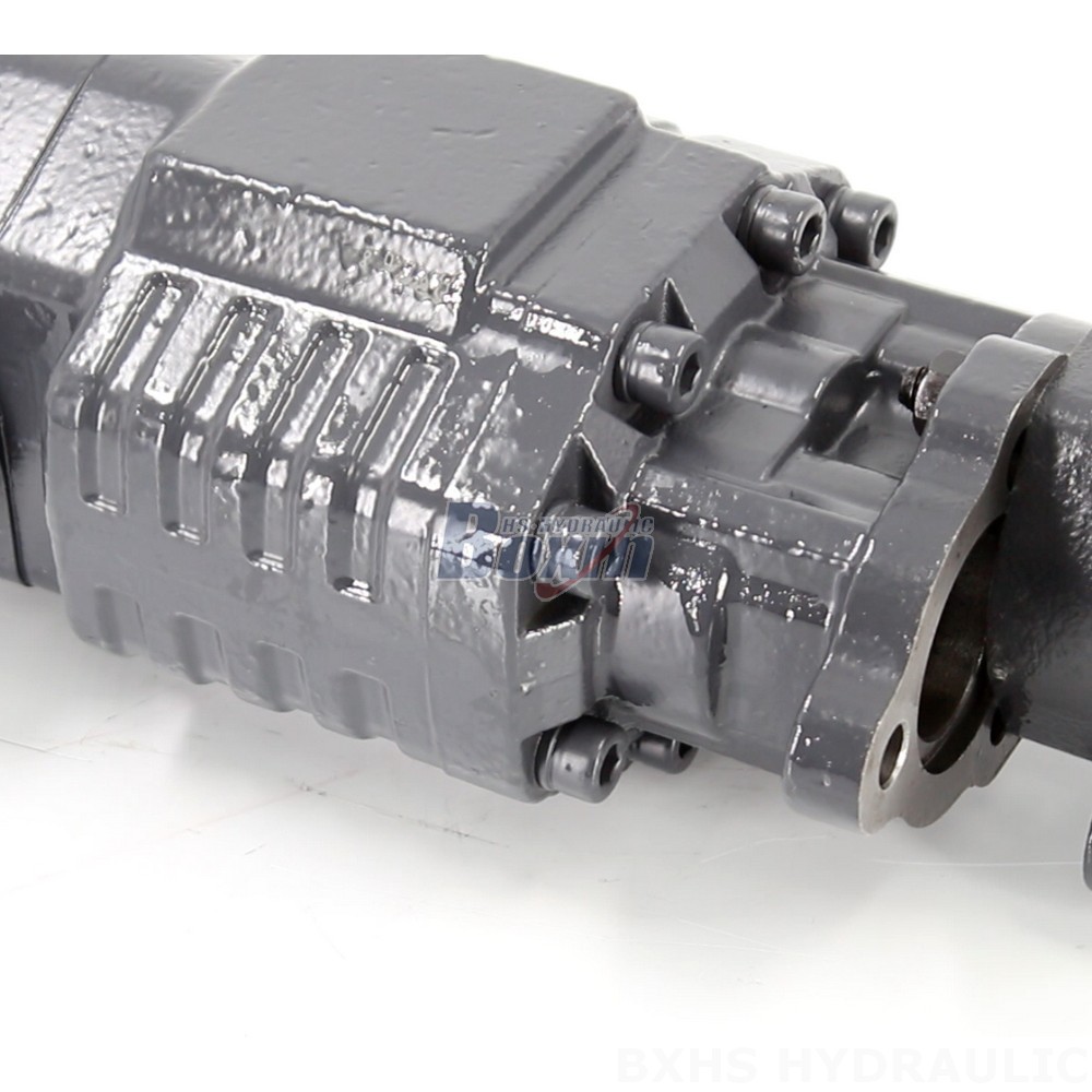 BF110A-ZF1 Hydraulic Gear Pump: OEM, ODM, Private Label & Custom Manufacturing Services detail image