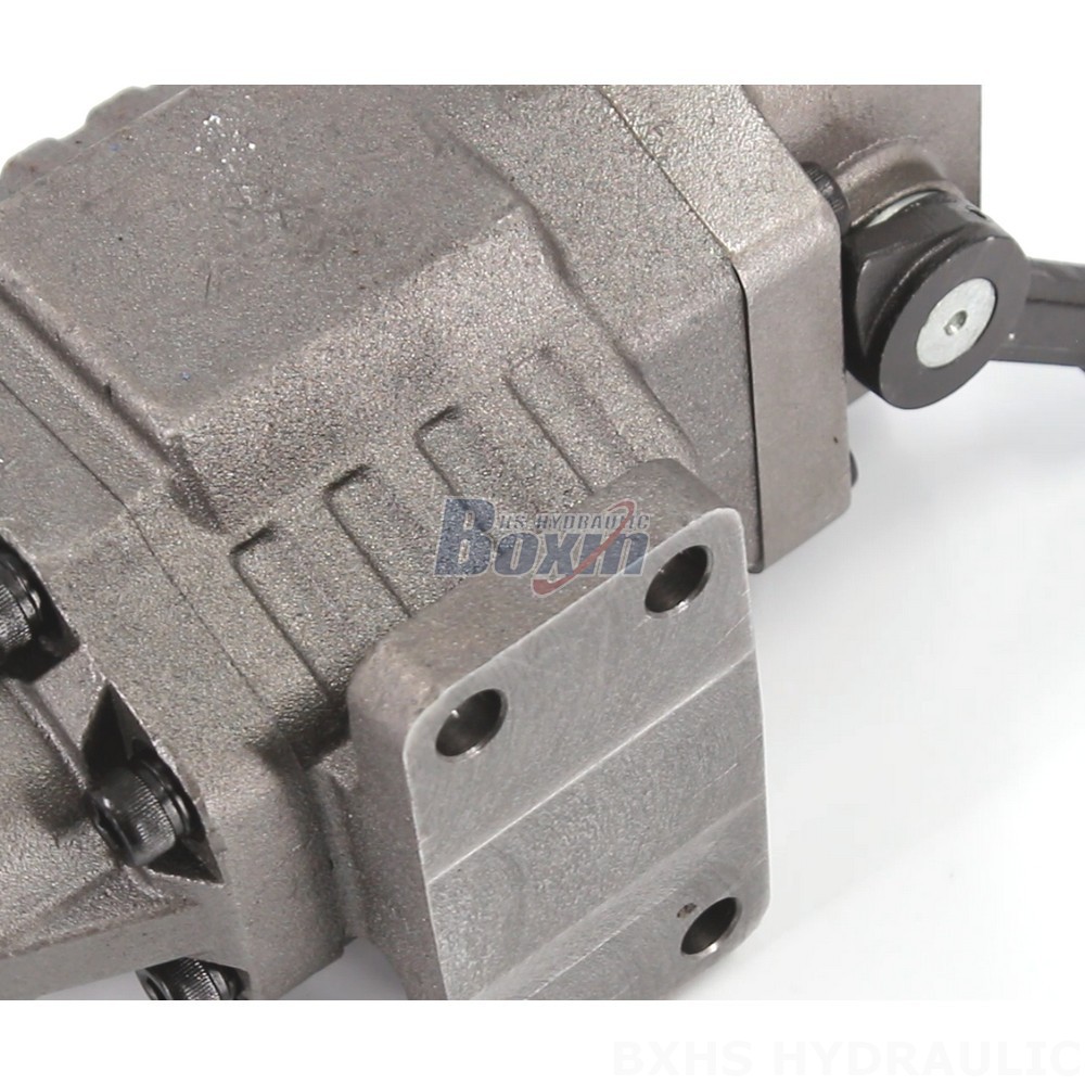 High Performance BF110M Hydraulic Gear Pump for Industrial Applications detail image