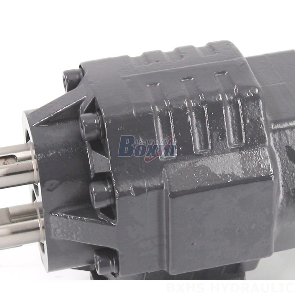 Premium BF62M Hydraulic Pump with 20 MPa (2900 psi) Capability detail image
