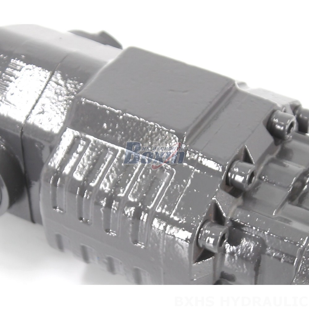 BF82A 20 MPa (2900 psi) Hydraulic Gear Pump: Quality Manufacturing & Supply detail image