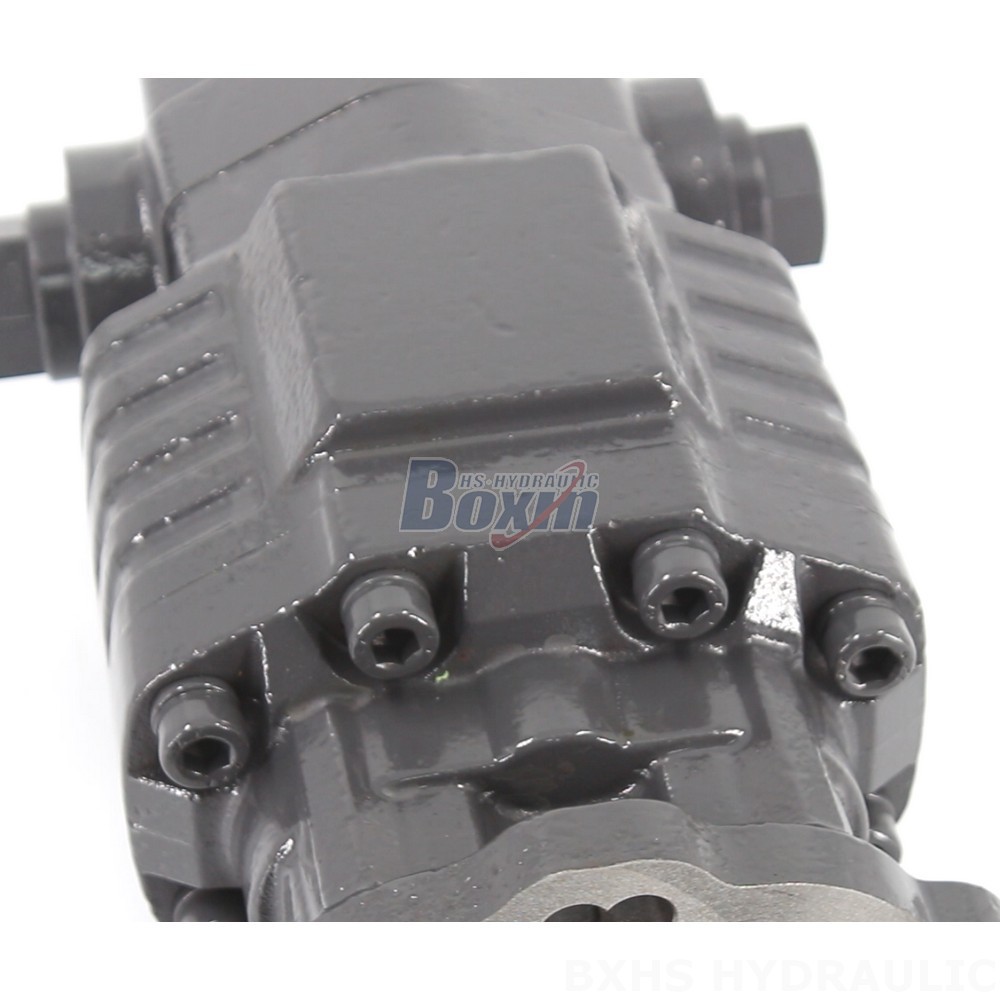 BF82A 20 MPa (2900 psi) Hydraulic Gear Pump: Quality Manufacturing & Supply detail image