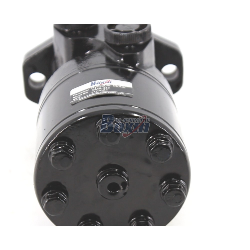 OEM ODM Custom BMR-315 Hydraulic Motor 315 cc/r Private Labeling detail image