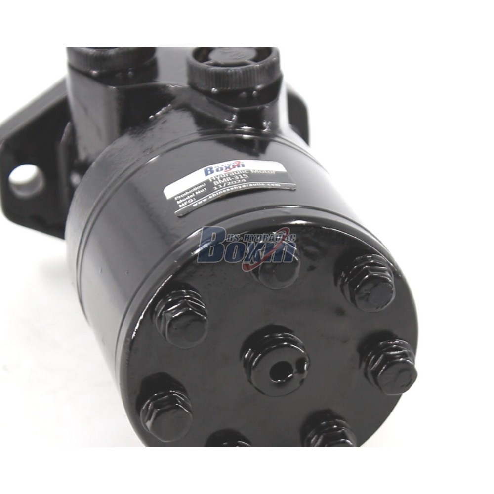 BMR-315 Hydraulic Motor Supply Chain Partnership Opportunities for Traders detail image