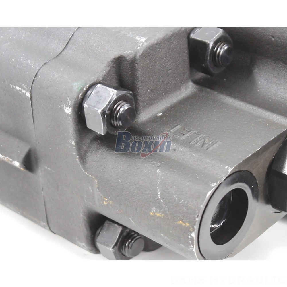 High-Performance C101-25-LAS Hydraulic Gear Pump - Global Manufacturer detail image