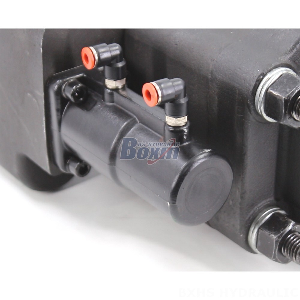 Direct from Factory: High-Quality C101-25-LAS Hydraulic Gear Pumps detail image
