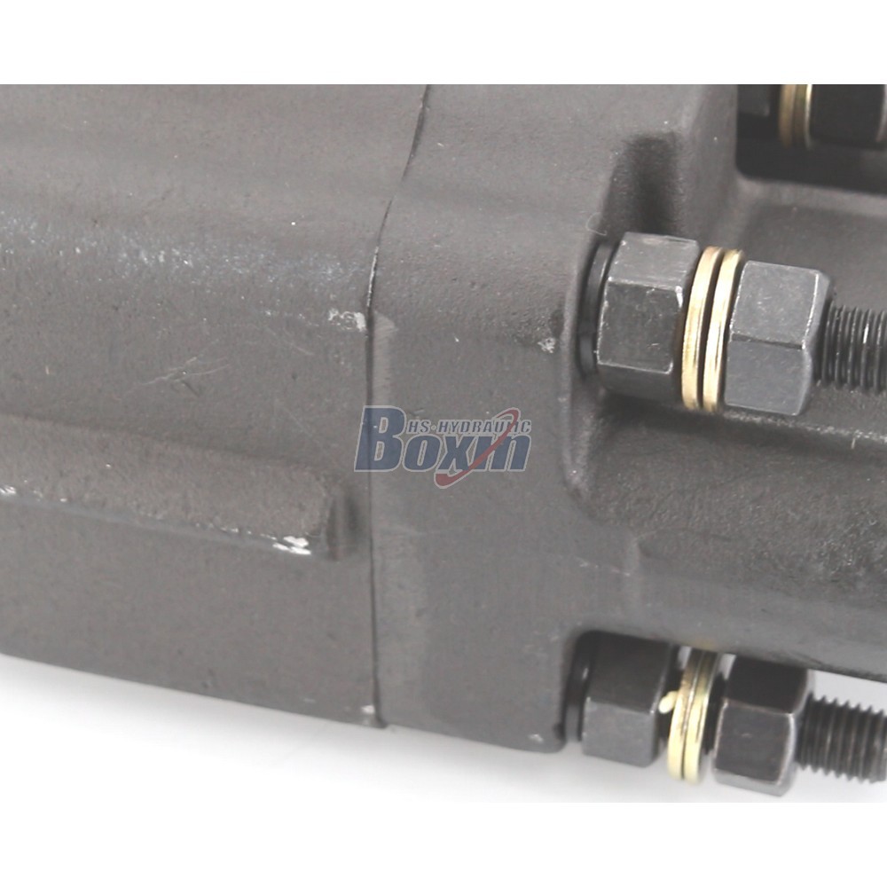 Standard C102-LMS-25 100 cc/rev Hydraulic Gear Pump Supply detail image