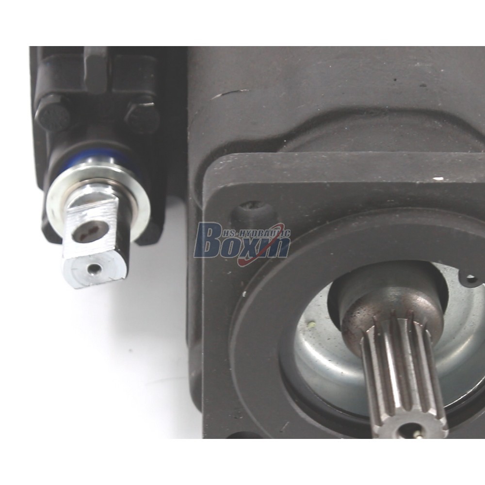 Standard C102-LMS-25 100 cc/rev Hydraulic Gear Pump Supply detail image