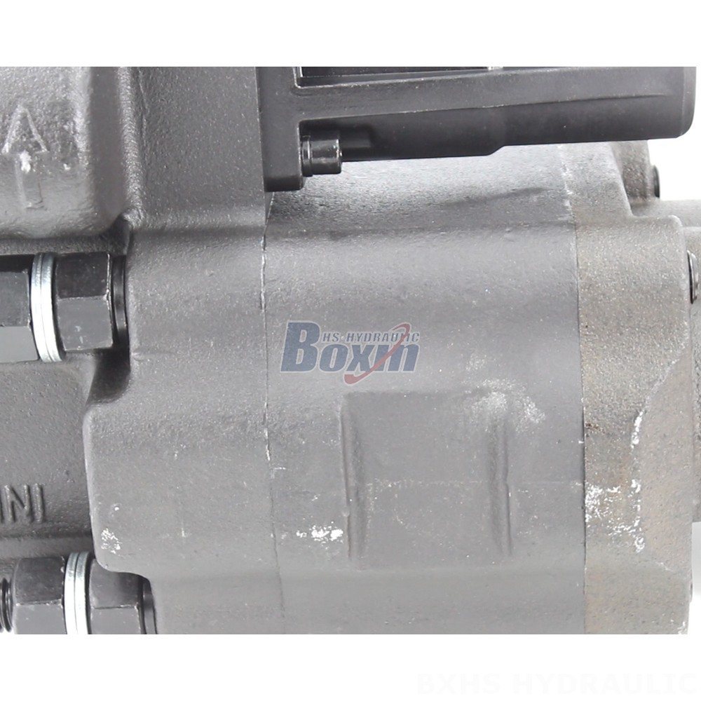 C102 112 cc/rev Hydraulic Gear Pump: OEM & ODM Services Available detail image