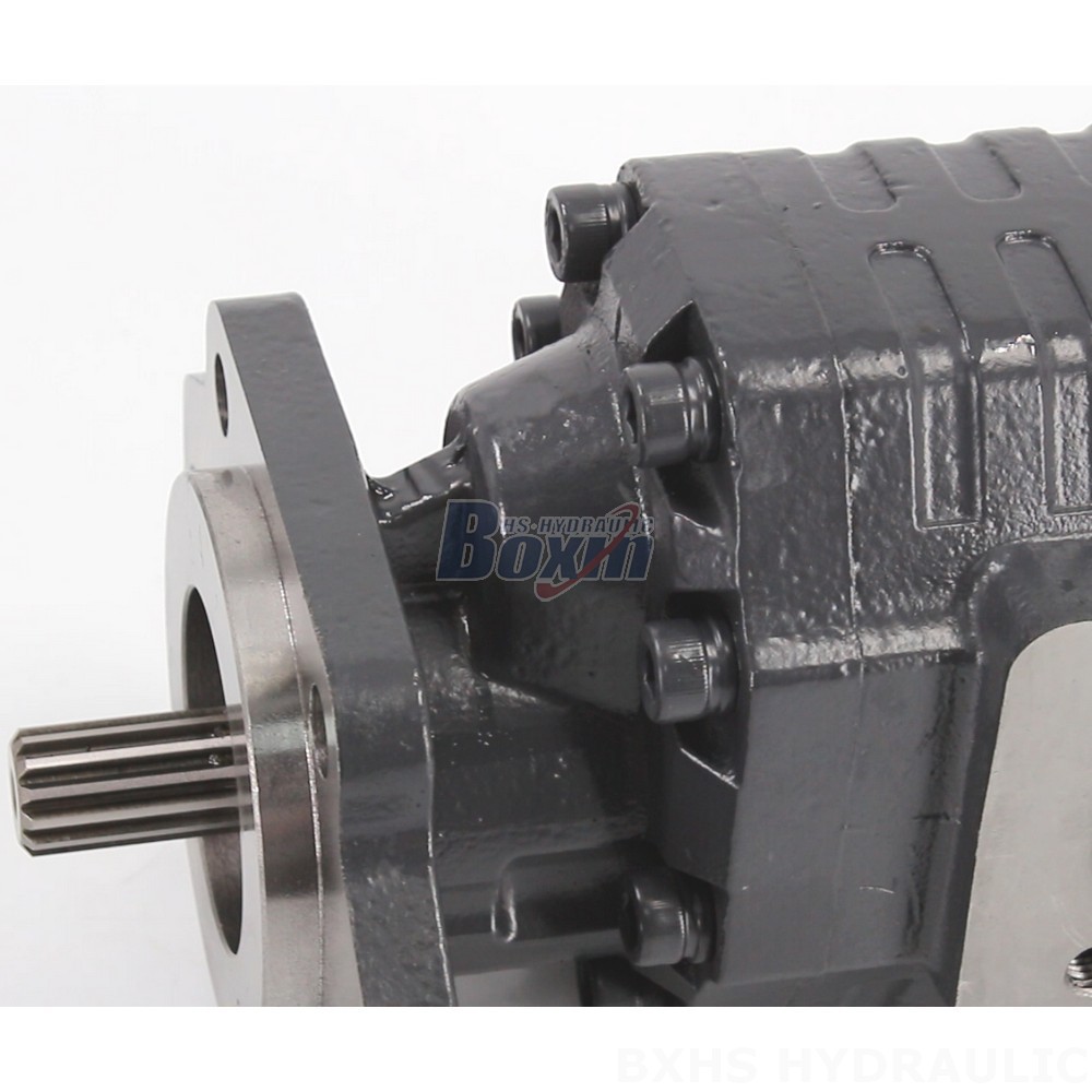 CBHC-2082 28 MPa (4061 psi) Hydraulic Gear Pump: OEM, ODM, Private Label & Customization Services Available detail image