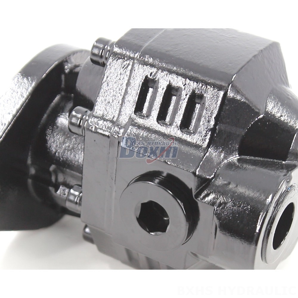 Industrial Hydraulic Gear Pump CBHL-2000 (50 cc/rev) - Wholesale Prices detail image
