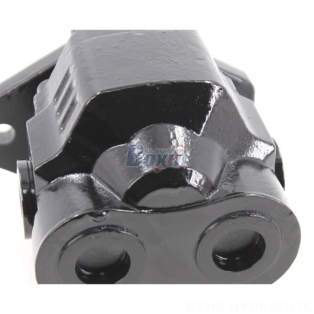 Industrial Hydraulic Gear Pump CBHL-2000 (50 cc/rev) - Wholesale Prices detail image