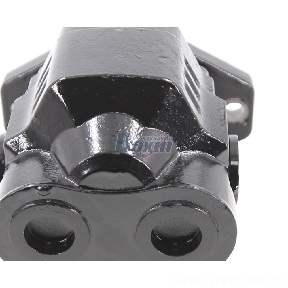 CBHL-2000 50 cc/rev Hydraulic Gear Pump: Factory Supply & Customization detail image