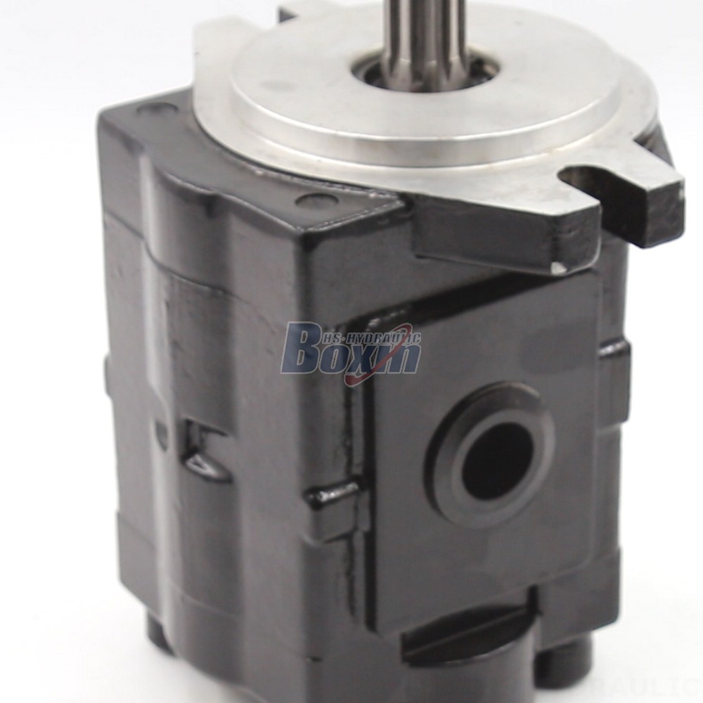 Gear Oil Pump Price Industrial Hydraulic Gear Pump | Factory Direct & Customizable detail image