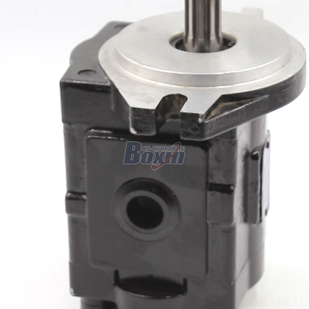 Gear Oil Pump Price Industrial Hydraulic Gear Pump | Factory Direct & Customizable detail image