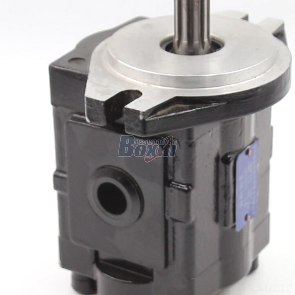 Hydraulic Pump Iso High-Performance Hydraulic Gear Pump - 20 cc/rev | Wholesale & OEM detail image