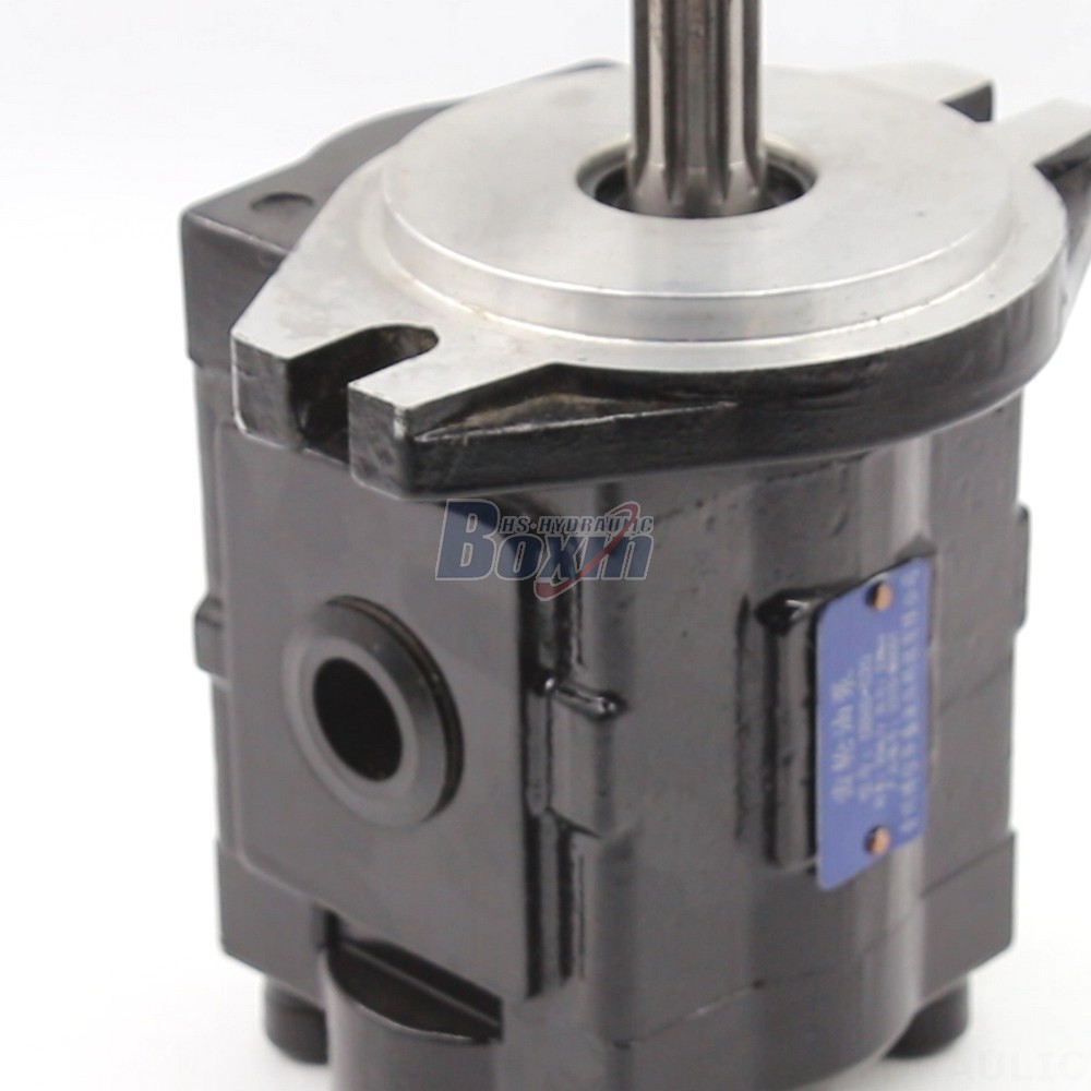 Tractor Pto Pump 20 cc/rev Hydraulic Gear Pump: High Flow & Efficiency | Wholesale Prices detail image
