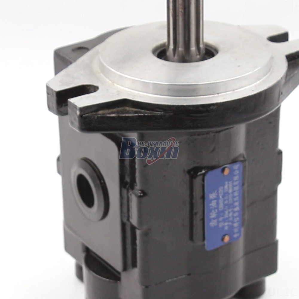 Hydraulic Pump Precision Engineered 20 cc/rev Hydraulic Gear Pump | Manufacturing & Supply detail image