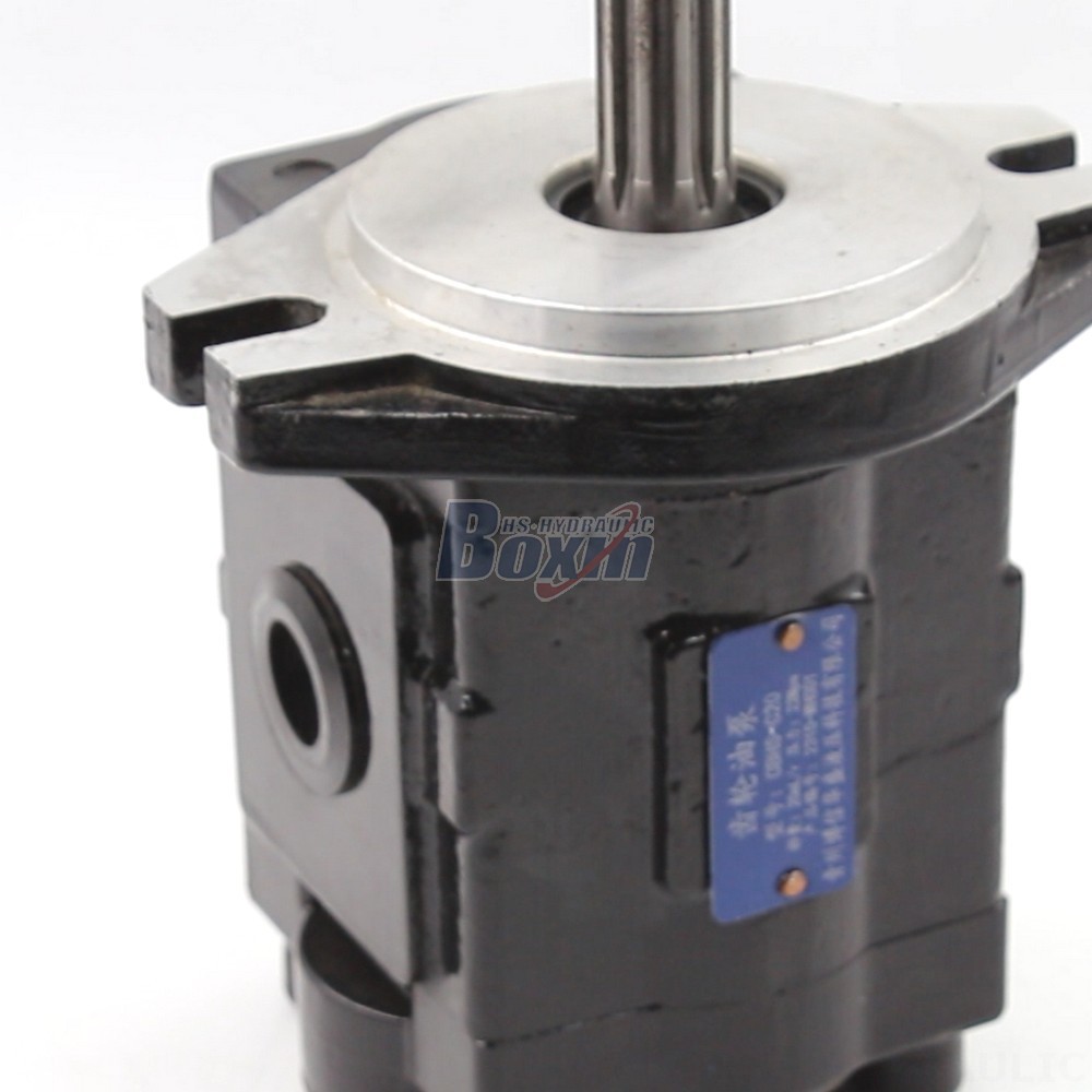Gear Oil Pump Price Industrial Hydraulic Gear Pump | Factory Direct & Customizable detail image