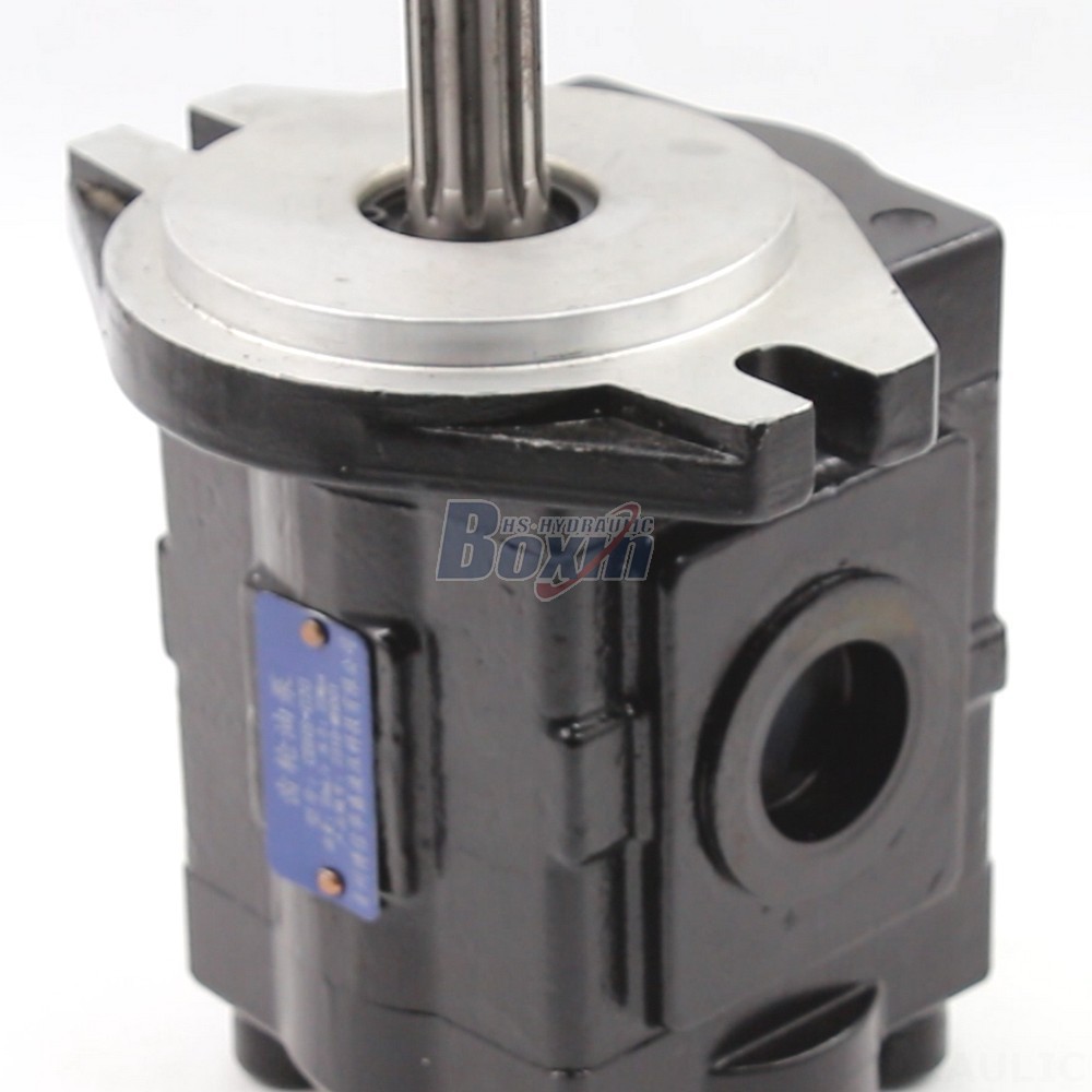 Nsh Pump Direct from the Manufacturer: 20 cc/rev Hydraulic Gear Pumps - High Performance & Reliability detail image