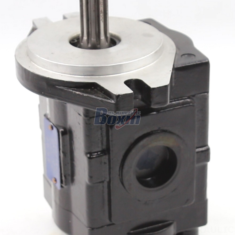 Hydraulic Pump Precision Engineered 20 cc/rev Hydraulic Gear Pump | Manufacturing & Supply detail image