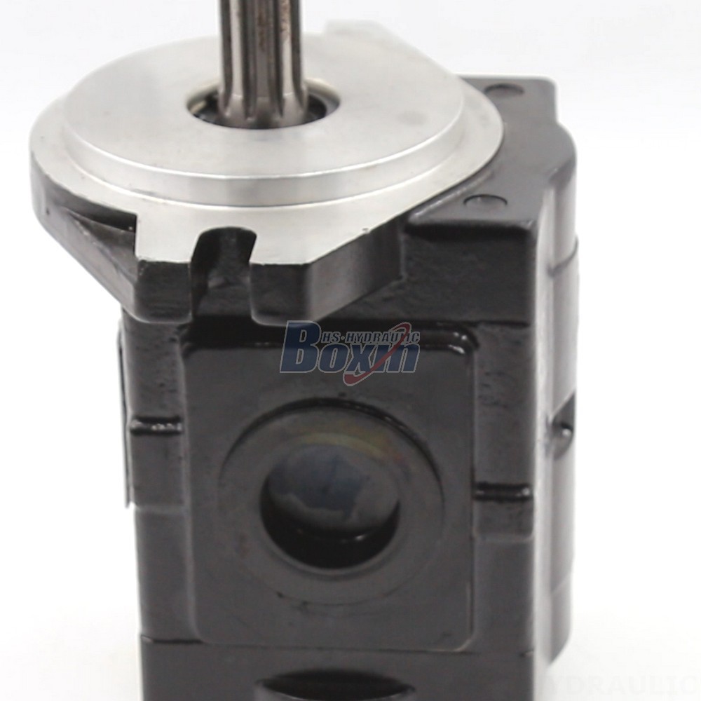 Nsh Pump Direct from the Manufacturer: 20 cc/rev Hydraulic Gear Pumps - High Performance & Reliability detail image
