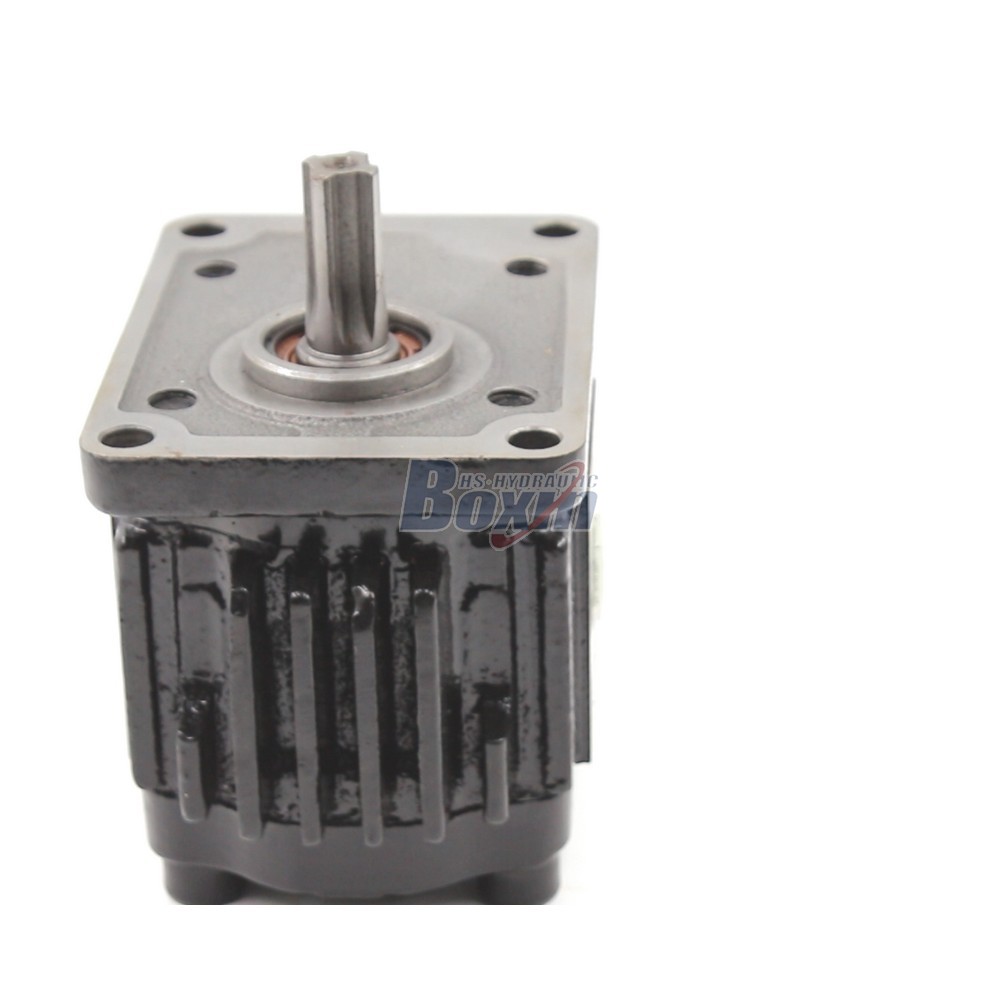 Gear Oil Pumps 16 cc/rev Hydraulic Gear Pump for Heavy Duty Applications | Factory Direct detail image