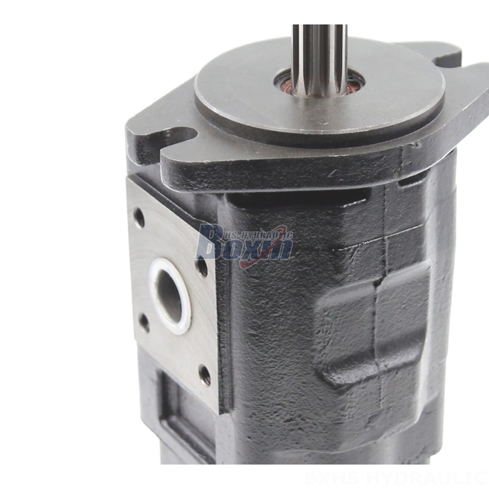 Pump 700bar 40 cc/rev Hydraulic Gear Pump: OEM & ODM Services - Custom Design & Manufacturing detail image