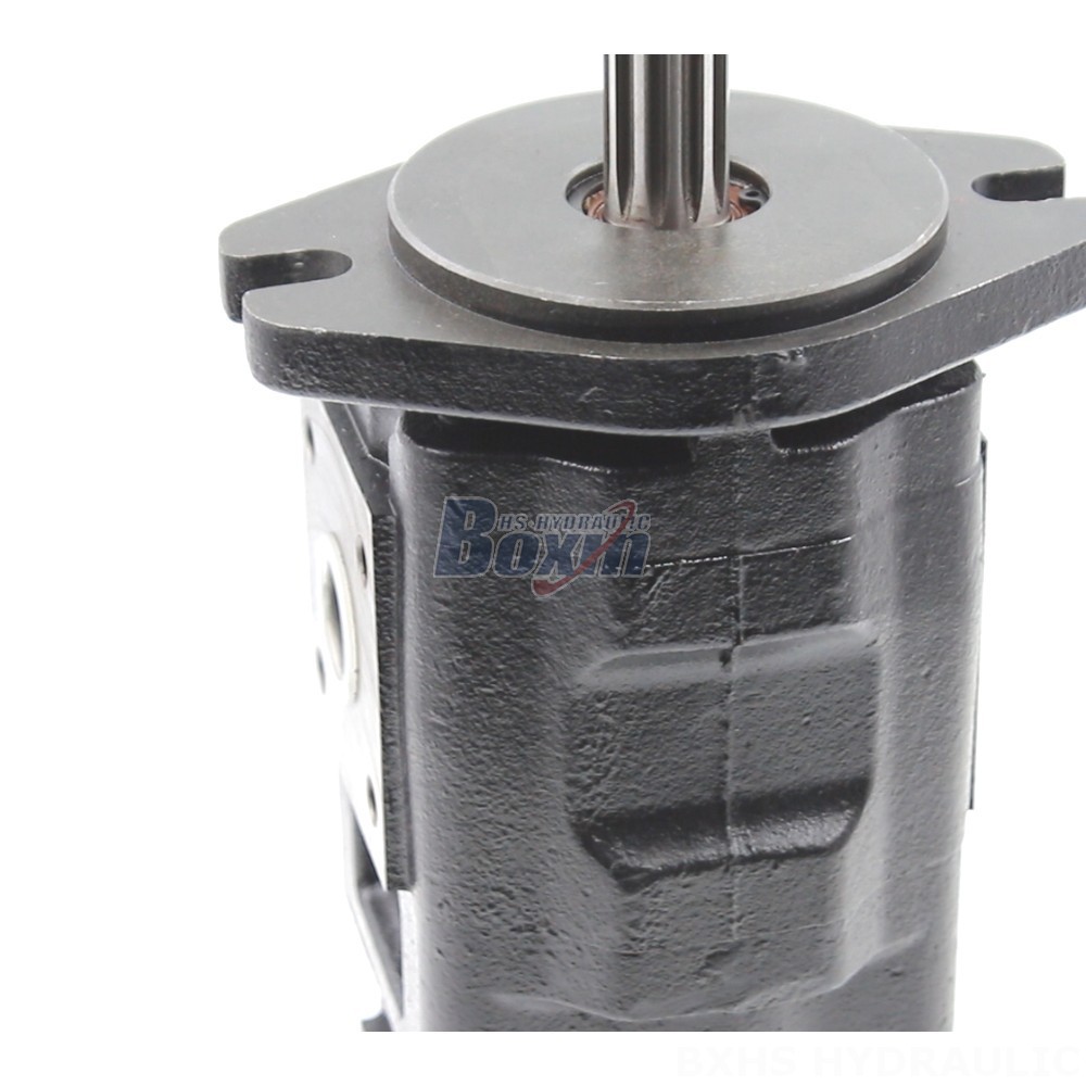 Mini Gear Pump 40 cc/rev Hydraulic Gear Pump: Factory Direct Supply & Global Distribution detail image