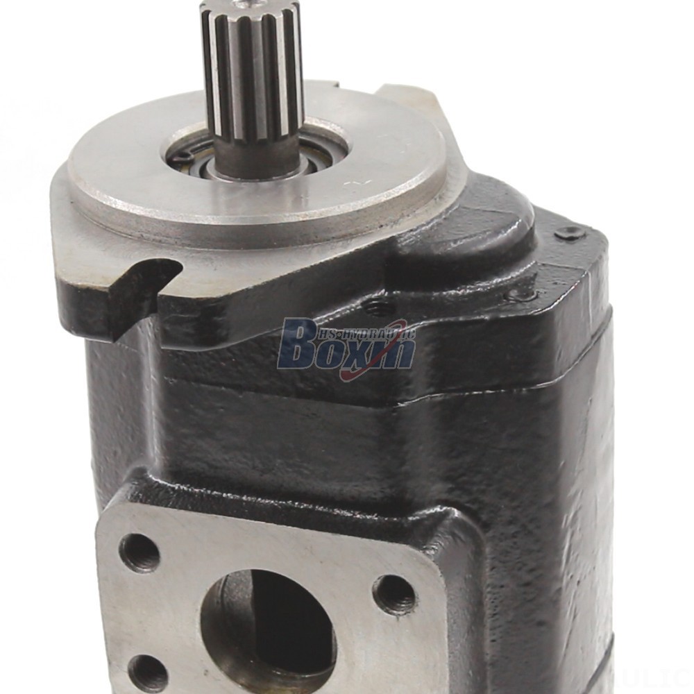 P30 Hydraulic Pump High Flow Rate Hydraulic Gear Pump - 40 cc/rev - Customizable Options detail image