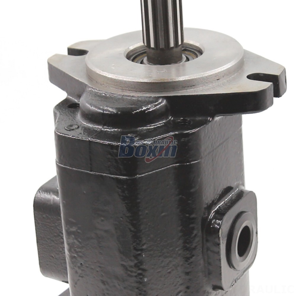 P30 Hydraulic Pump High Flow Rate Hydraulic Gear Pump - 40 cc/rev - Customizable Options detail image