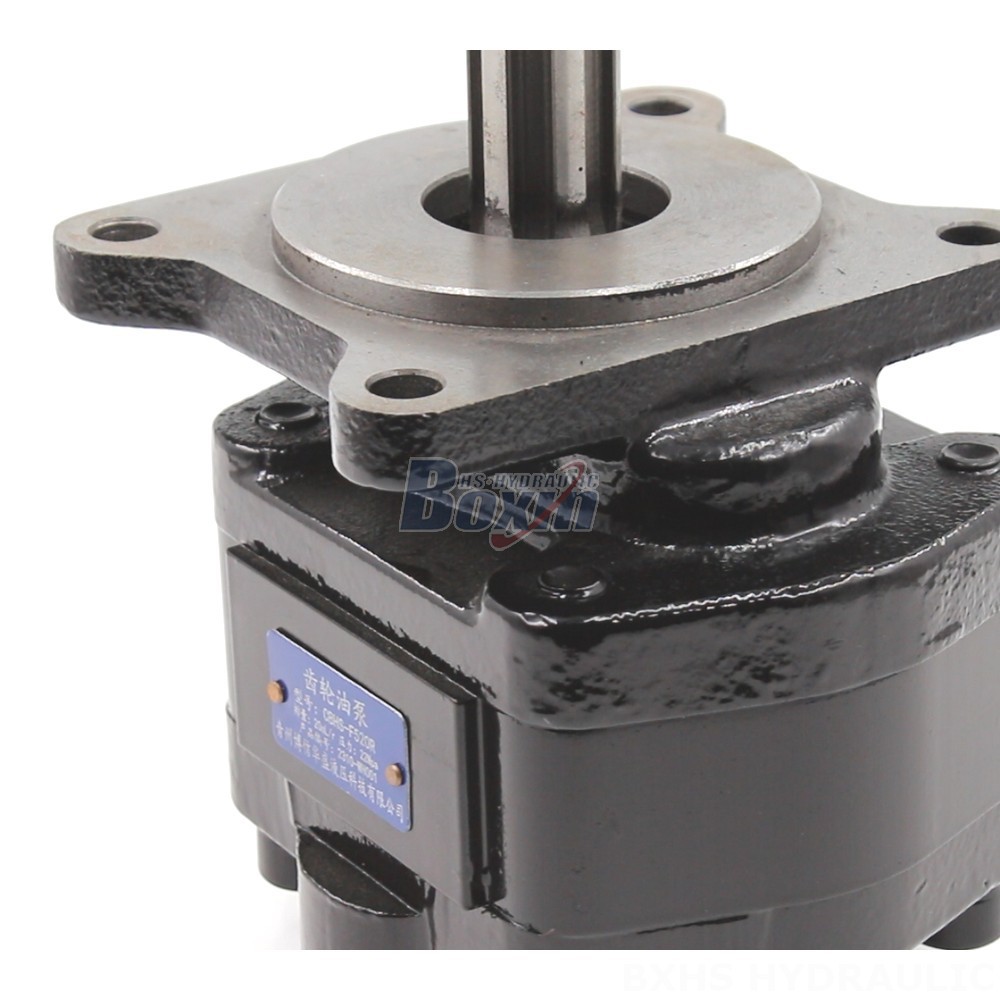 Hydraulic Pilot Pump 20 cc/rev Hydraulic Gear Pump - High Performance & Durable detail image