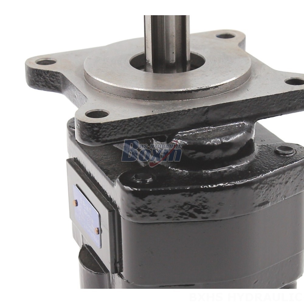 Hydraulic Pump Motor 20 cc/rev Hydraulic Gear Pump: Wholesale & OEM Supply detail image