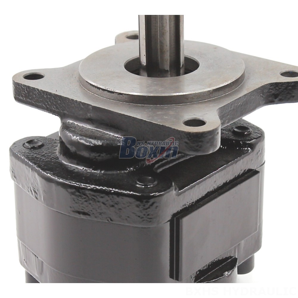 Forklift Gear Pump High Flow Rate Hydraulic Gear Pump | 20 cc/rev | Reliable & Efficient detail image