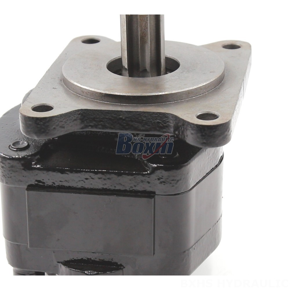 Dump Pump Manufacturer of 20 cc/rev Hydraulic Gear Pumps: Wholesale & Customization Available detail image