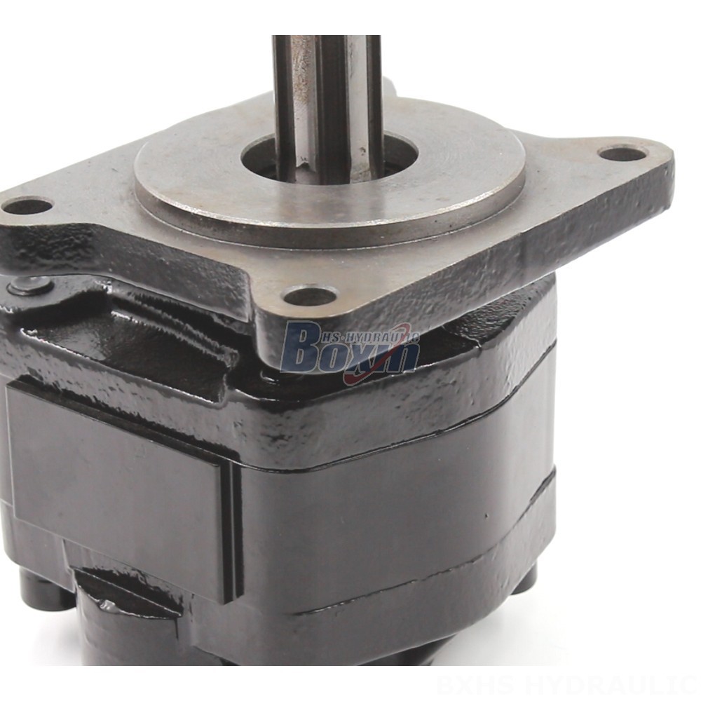 Low Noise Gear Pump 20 cc/rev Hydraulic Gear Pump: OEM & ODM Services Available detail image