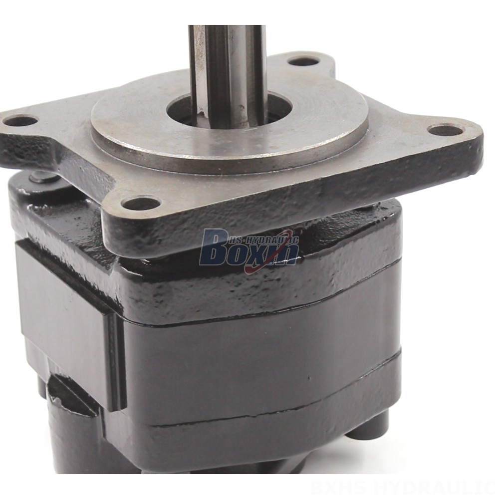 Dump Pump Manufacturer of 20 cc/rev Hydraulic Gear Pumps: Wholesale & Customization Available detail image