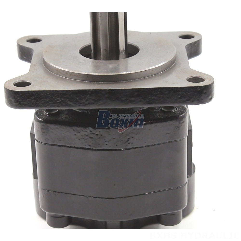 Low Noise Gear Pump 20 cc/rev Hydraulic Gear Pump: OEM & ODM Services Available detail image