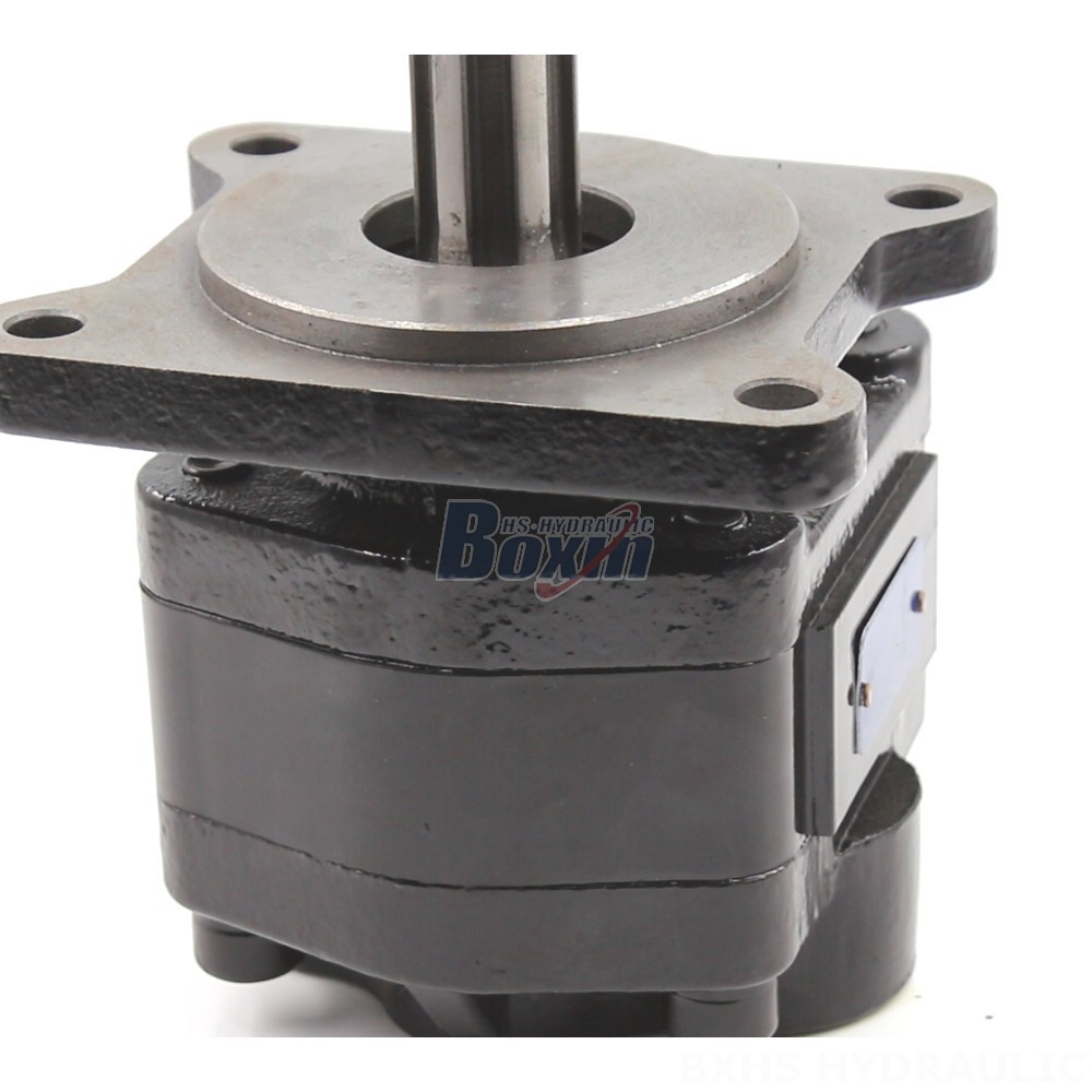Dump Pump Manufacturer of 20 cc/rev Hydraulic Gear Pumps: Wholesale & Customization Available detail image