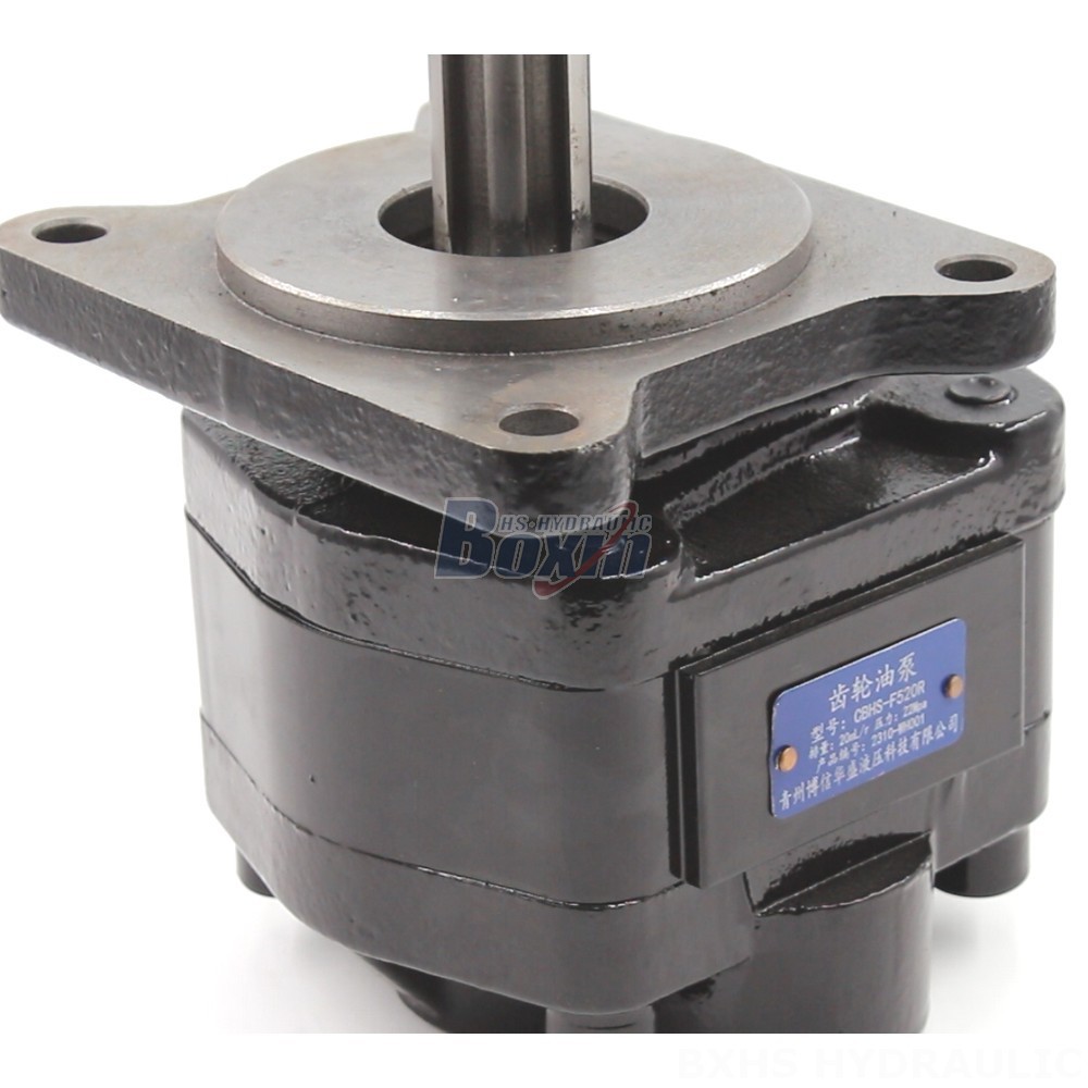 Low Noise Gear Pump 20 cc/rev Hydraulic Gear Pump: OEM & ODM Services Available detail image