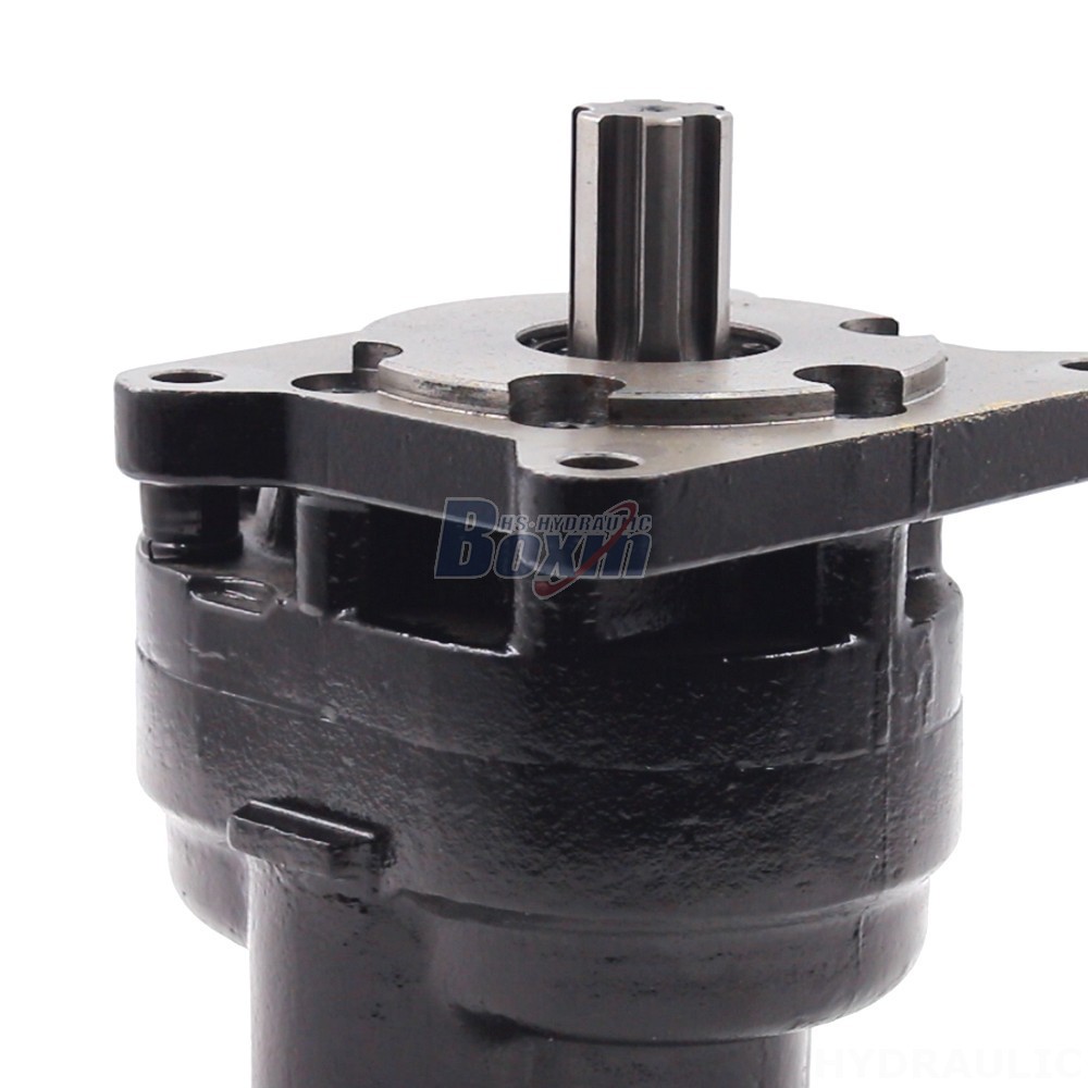 Pump Tandem Industrial-Grade Hydraulic Gear Pump: Customized Manufacturing and Distribution detail image