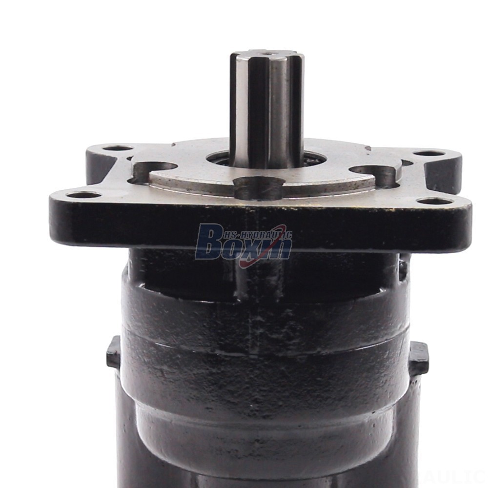 Pump Tandem Industrial-Grade Hydraulic Gear Pump: Customized Manufacturing and Distribution detail image