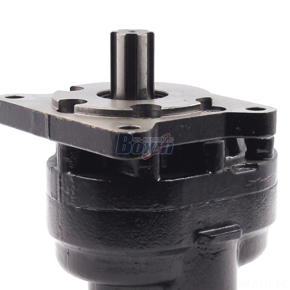 Pump Tandem Industrial-Grade Hydraulic Gear Pump: Customized Manufacturing and Distribution detail image