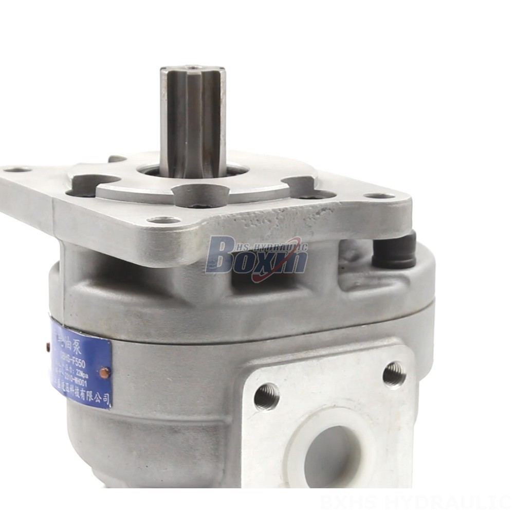 Tandem Gear Pump CBHS-F550 50 cc/rev Hydraulic Gear Pump: Manufacturer & Global Supplier detail image