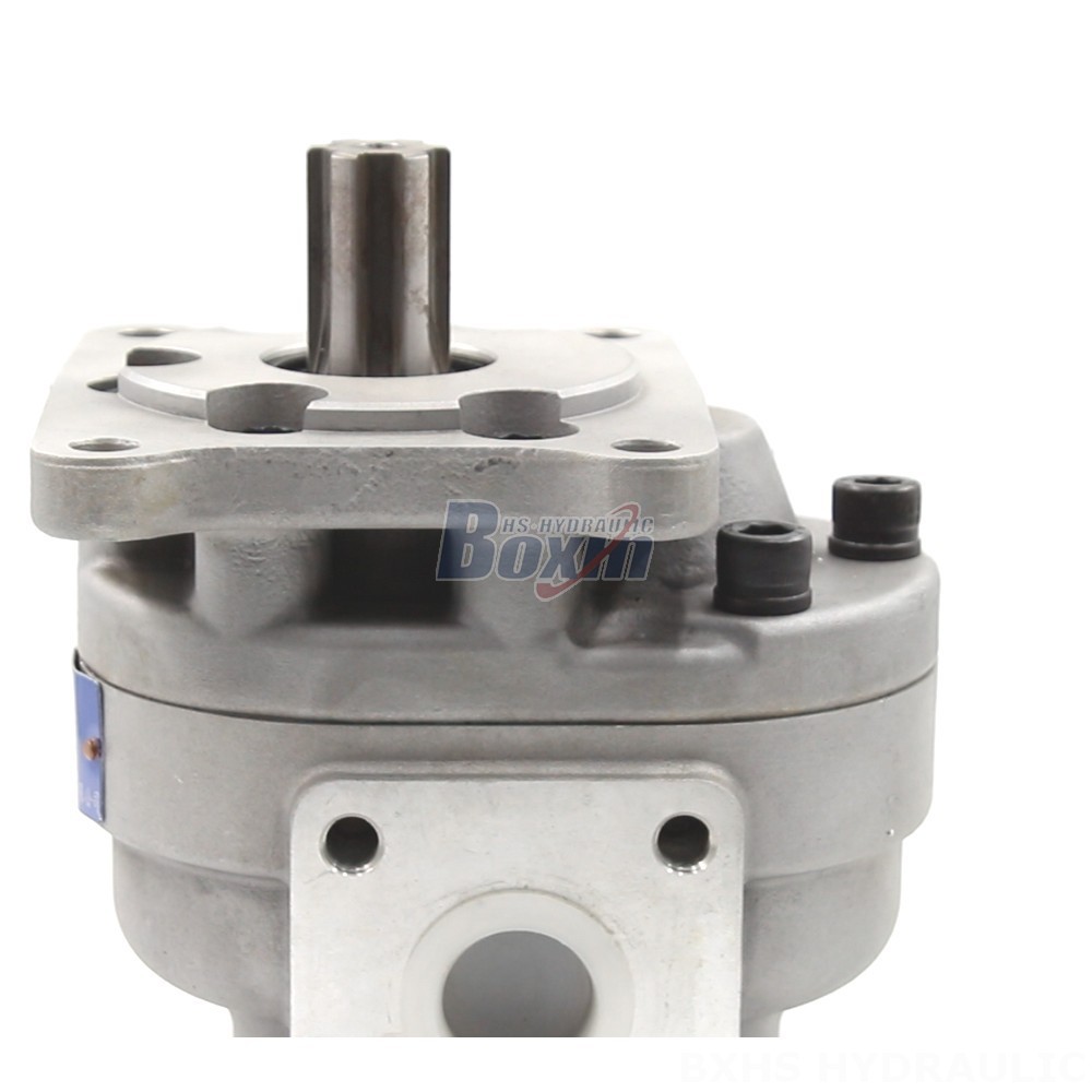 Aluminum Gear Pump Advanced Hydraulic Gear Pumps - CBHS-F550 Series | Wholesale & OEM detail image