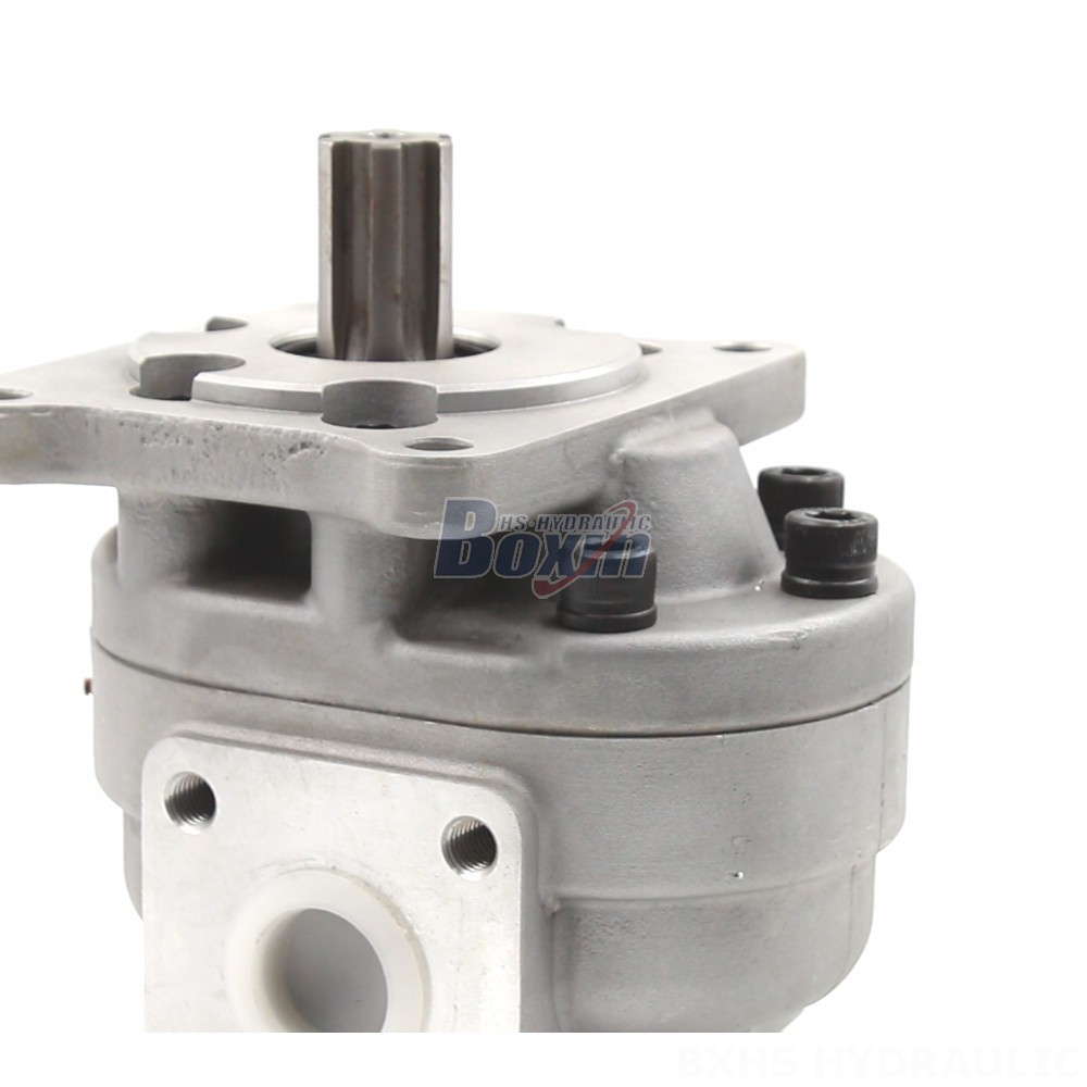 Hydraulic Hand Pump 50 cc/rev Gear Pump: CBHS-F550 | Factory Direct & Customizable detail image