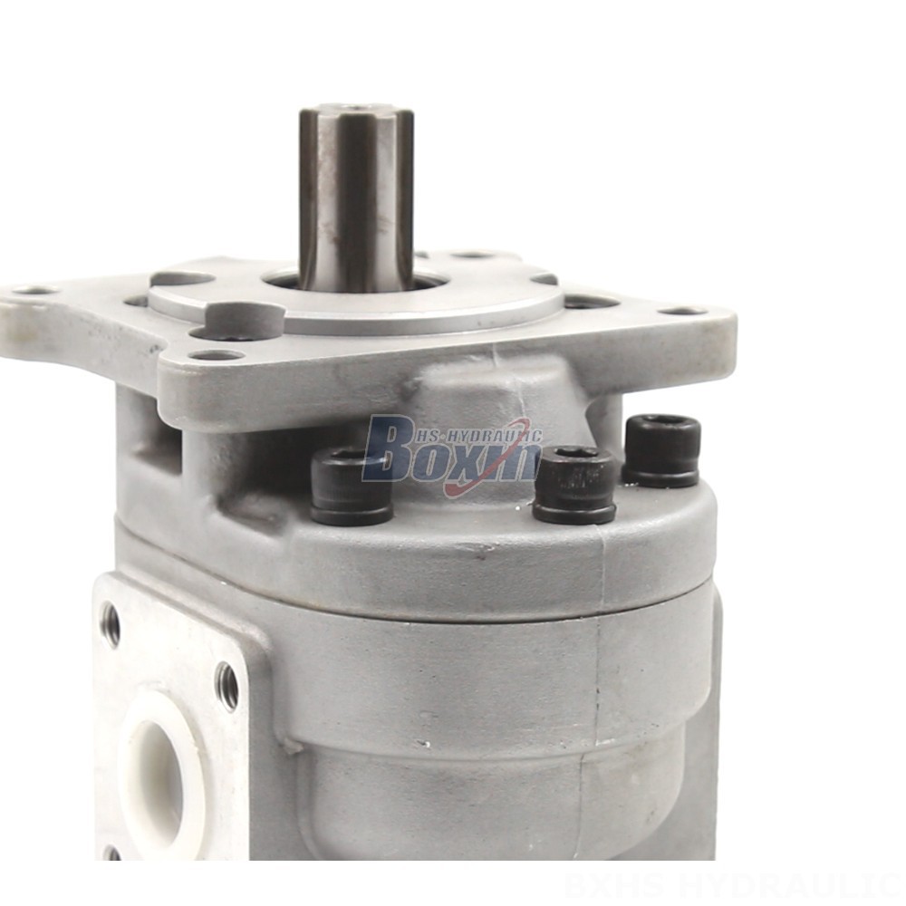 Internal Gear Pumps CBHS-F550 Hydraulic Gear Pump: Features, Applications & Benefits detail image